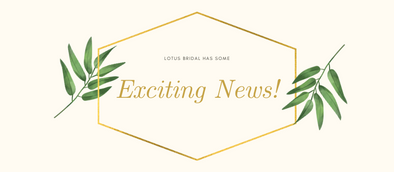 Exciting News!!!  Reopening is on the horizon!
